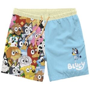 Mens Bluey Swim Shorts Small